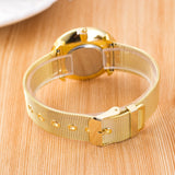 Hesiod Elegant Crystal Roman Numerals Watch