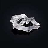 JUJIE Vintage Exquisite Nature Shell Brooch