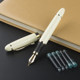 Jinhao X450 Classics 0.5mm Nib Calligraphy Pen