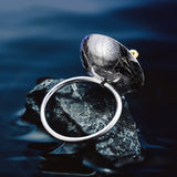 Lotus Fun Moment Real 925 Sterling Silver Poetic Swan In The Sea Rings