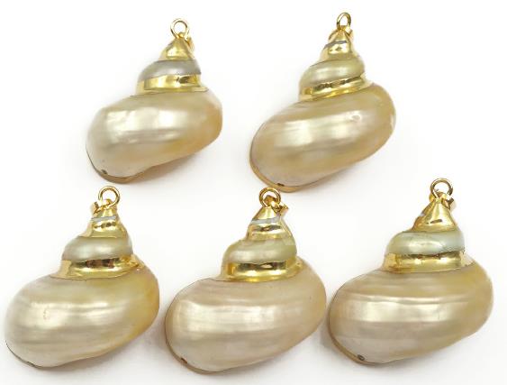 WT-JP090 Natural Trumpet Conch Shell With Gold Electroplated Sea Shell Pendant