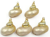 WT-JP090 Natural Trumpet Conch Shell With Gold Electroplated Sea Shell Pendant