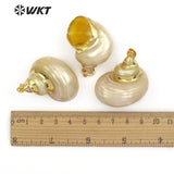 WT-JP090 Natural Trumpet Conch Shell With Gold Electroplated Sea Shell Pendant